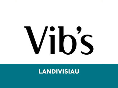 Logo de VIBS